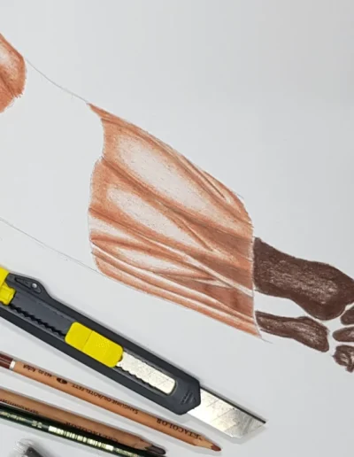 darius-v-arts-my-art-muscles