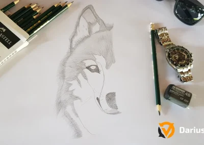 darius-v-arts-my-art-charcoal-wolf